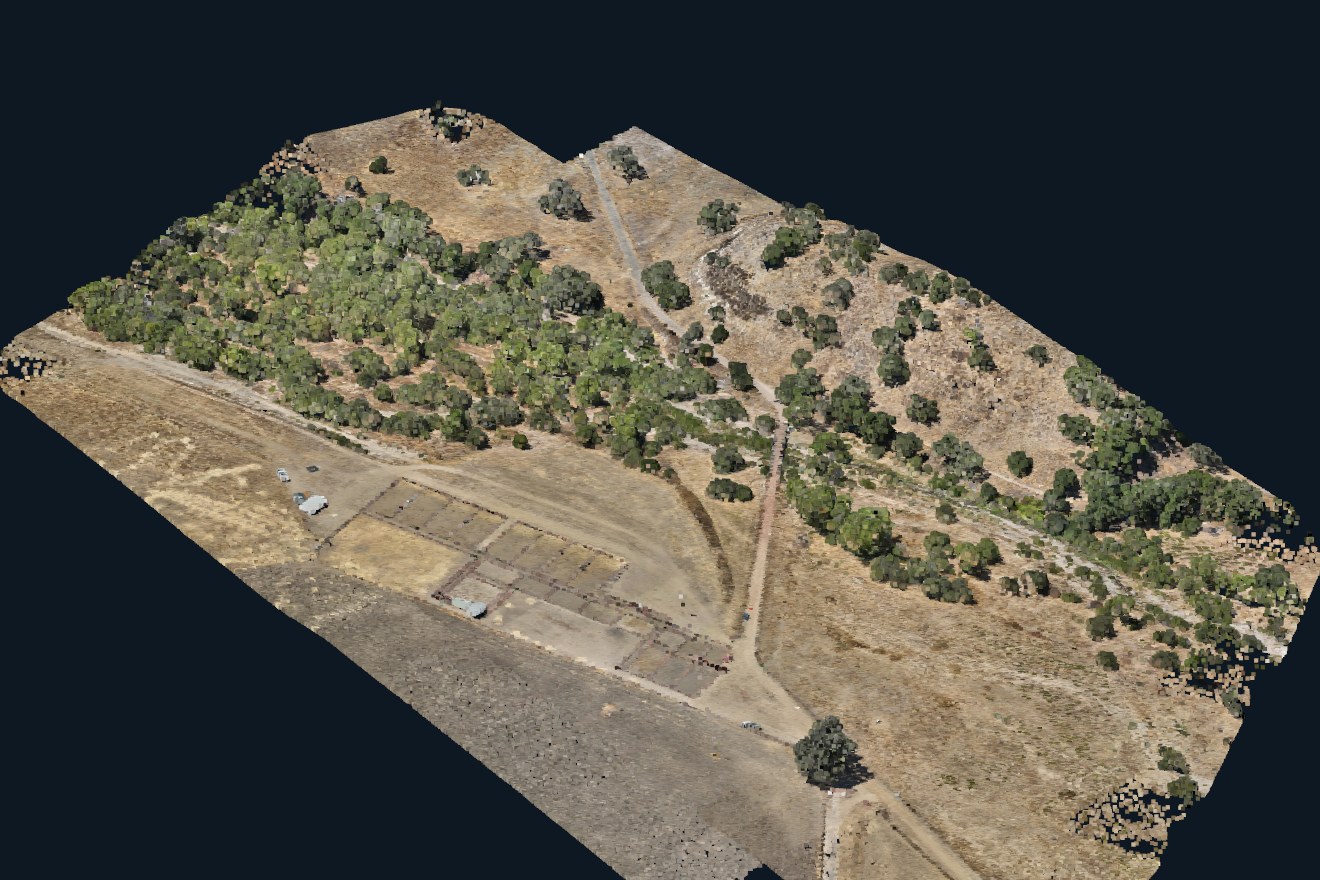 Colorized UAV LiDAR point cloud of terrain and vegetation